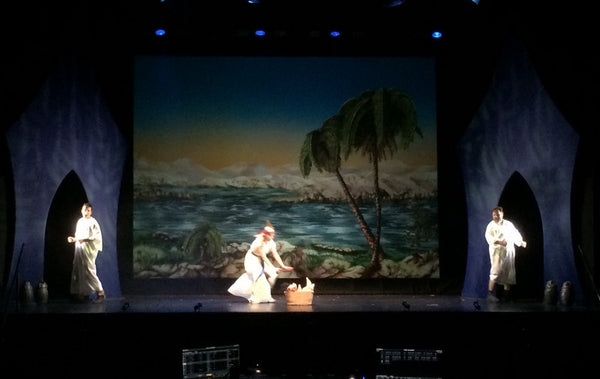 Lycra Sails - S10: Entry Sail